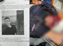 Пробил голову полицейскому, отобрал оружие и телефон: на Кубани ищут преступников