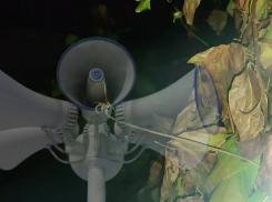 Что это было? Новороссийск проснулся от звуков взрывов