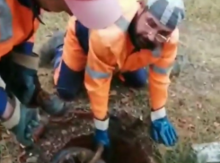 Находка в одном из колодцев Новороссийска шокировала даже сотрудников Водоканала