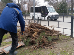Главное - вовремя: новороссийцы прощаются с прошлогодними листьями в феврале