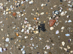 «Новые выбросы мазута есть, но небольшие»: Оперштаб отчитался об обстановке на Черном море 