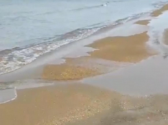 Становится лучше? На Черном море нет новых следов мазута 
