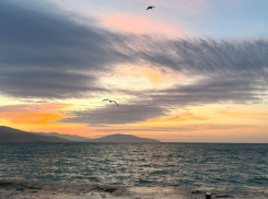 Гороскоп от «Блокнота»: Львам уделить внимание личной жизни, а Тельцам финансам 