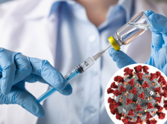 В сентябре появится еще одна российская вакцина от коронавиуса