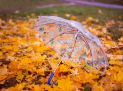 О воскресной погоде в Новороссийске: не забудьте зонтик 