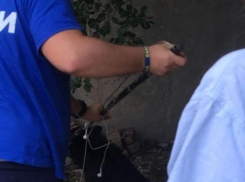 Любопытство до септика довело собаку в Новороссийске