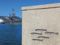 Погода в Новороссийске: облачно, душно, близится осень 