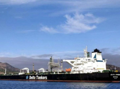 Спасли рынок: терминал «Шесхарис» неожиданно заработал в Новороссийске