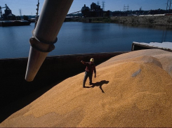 На Новороссийские причалы пришел рекордный объем зерна