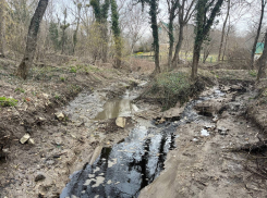 Росприроднадзор подтверждает: в Новороссийске фильтрат продолжает растекаться по лесу и рекам