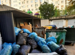 «ЭкоЮг» вынуждает новороссийцев жить по соседству с вонючей свалкой 