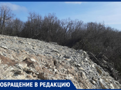 Лесной массив в Новороссийске засыпали землёй