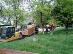 Экологи Новороссийска выступают против застройки парка Фрунзе