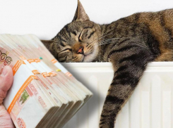 Батареи будут горячими? На подготовку к зиме в Новороссийске выделили 500 миллионов 