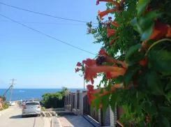 В Краснодарском крае ожидают потепление до +15: как дела в Новороссийске 