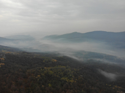 На Кубани тушили лесной пожар 84 человека: при чем штормовое предупреждение