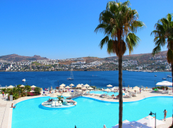 Прощай, Новороссийск? В России запустят первый прямой автобус до Турции 