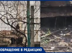 Из котельной вторую неделю хлещет кипяток: новороссийцы замерзают