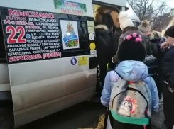Дети не могут уехать домой: новороссийцы по 1,5 часа ждут маршрутку