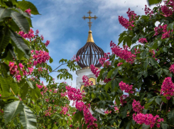 Погода в Новороссийске: небольшой дождь и солнышко 