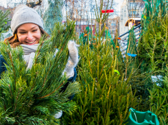 Праздник к нам приходит: в Новороссийске откроют елочные базары 