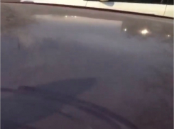 Цементный завод снова раздает «подарки» новороссийцам 