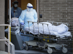 Семь новороссийцев заразились коронавирусом за последние сутки