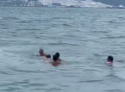  Как минимум два человека чуть не утонули в Новороссийске за минувшую неделю