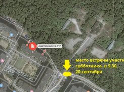 «Мои вкусы специфичны» - как отметят грядущую пятницу эко-активисты Новороссийска