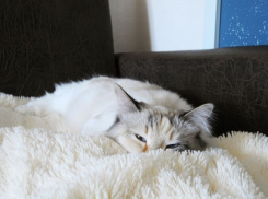 Вечер среды новороссийцам стоит провести с пледом и теплым чаем