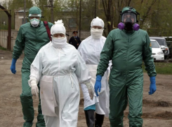 «Грязная зона», изолятор, лаборатория: в Новороссийске модернизируют противочумную станцию
