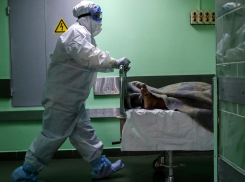 Смерть еще одного новороссийца и странная статистика: ситуация в крае с коронавирусом вызывает вопросы