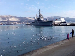 Международный женский день в Новороссийске будет прохладным 