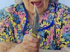 Бабуля из федерального розыска попалась на ограблении в Новороссийске