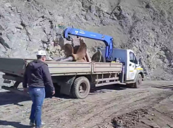 Танкер «Волгонефть-239» полностью вытащили из моря