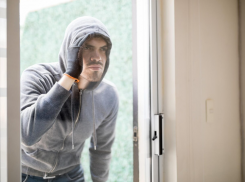 В Новороссийске задержали предприимчивого вора: как и что он смог вытащить 