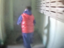 Дети прыгали на самокате в подъезде одного из домов в Новороссийске