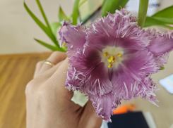 Гороскоп от «Блокнота»: Близнецам помогать другим, а Скорпионам пойти на риск