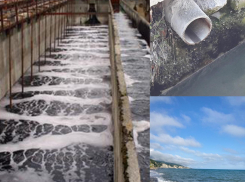   Очистные сооружения побережья Новороссийска приведут в порядок