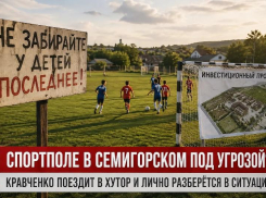 «Не забирайте у детей последнее»: судьбу футбольного поля в Семигорском обсудили в администрации