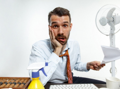 Новороссийцам могут сократить рабочий день во время жары на 4 часа: рекомендации Роспотребнадзора