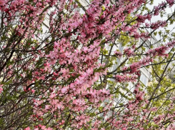 Облака затянули небо Новороссийска