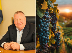 Бывший мэр Новороссийска Владимир Синяговский стал соучредителем «Шато Пино»