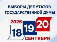 Выборы в Госдуму уже начались в Новороссийске: чего требуют власти