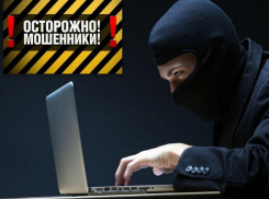 Будьте бдительны: по Новороссийску пронеслась целая серия мошеннических схем