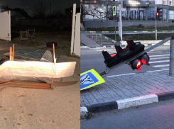 Деревья, светофоры, остановка: что за сутки натворил норд-ост в Новороссийске