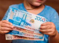 Выплаты на детей от 8 до 17 лет: с 1 мая новороссийцы смогут подать заявление  