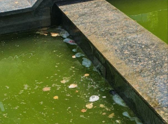 Фонтаны Новороссийска до сих пор не привели в порядок 