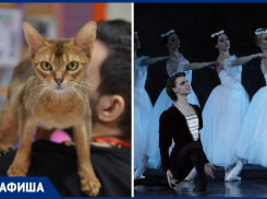 Афиша в Новороссийске с 1 по 5 апреля: «страна Мурляндия», «Пиковая дама» и экосреда 