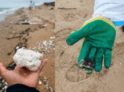 Прокуратура не нашла виновных в разливе пальмового масла в Черном море